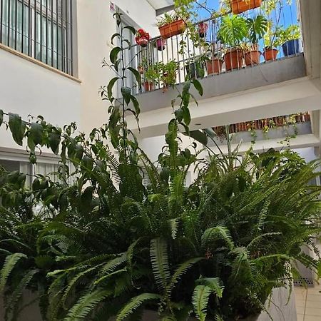 Suite Trinidad Centro Málaga Buitenkant foto